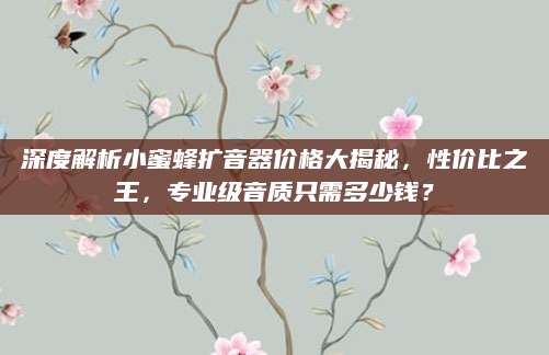 深度解析小蜜蜂扩音器价格大揭秘，性价比之王，专业级音质只需多少钱？