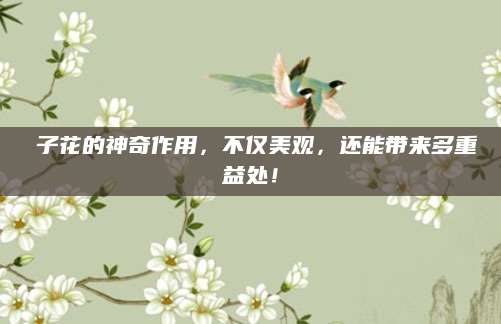枙子花的神奇作用，不仅美观，还能带来多重益处！