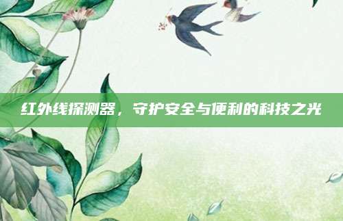 红外线探测器，守护安全与便利的科技之光