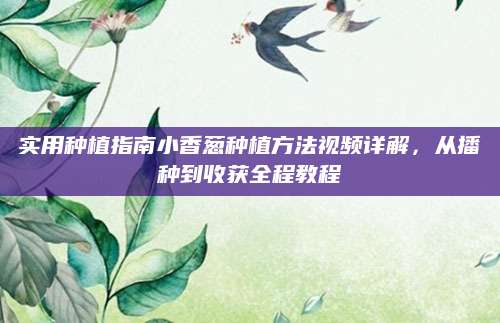 实用种植指南小香葱种植方法视频详解，从播种到收获全程教程