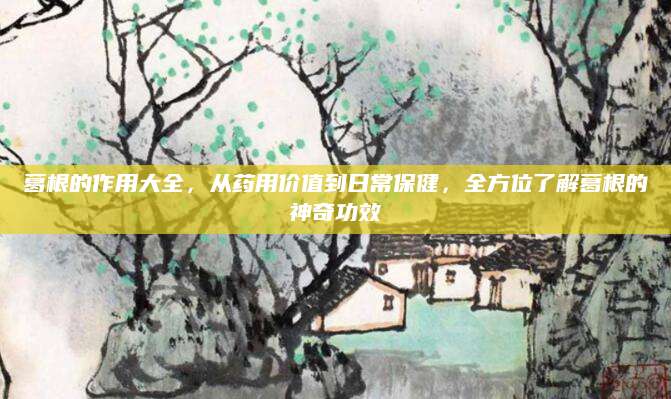 葛根的作用大全，从药用价值到日常保健，全方位了解葛根的神奇功效