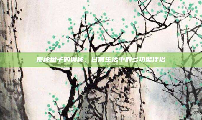 揭秘盘子的奥秘，日常生活中的多功能伴侣