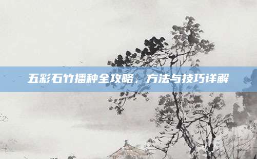 五彩石竹播种全攻略，方法与技巧详解