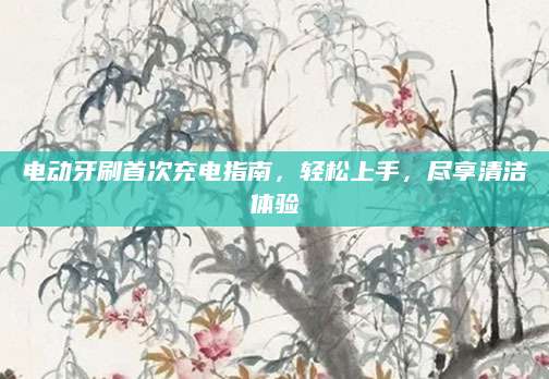 电动牙刷首次充电指南，轻松上手，尽享清洁体验