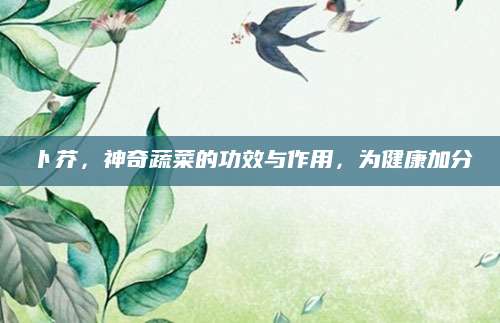 卜芥，神奇蔬菜的功效与作用，为健康加分