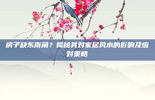 房子缺东南角？揭秘其对家居风水的影响及应对策略