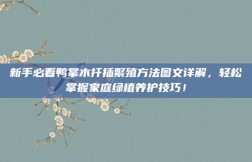 新手必看鸭掌木扦插繁殖方法图文详解，轻松掌握家庭绿植养护技巧！