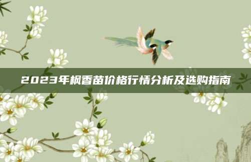 2023年枫香苗价格行情分析及选购指南