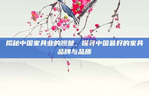 揭秘中国家具业的翘楚，探寻中国最好的家具品牌与品质
