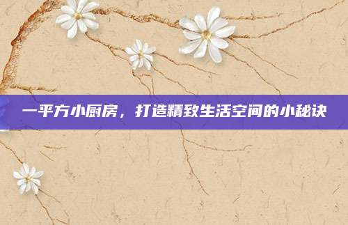 一平方小厨房，打造精致生活空间的小秘诀