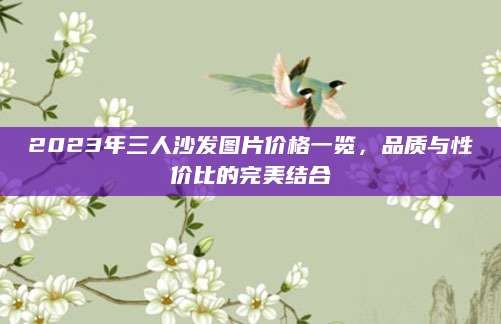 2023年三人沙发图片价格一览，品质与性价比的完美结合