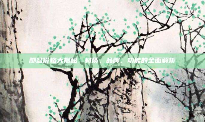 脚盆价格大揭秘，材质、品牌、功能的全面解析