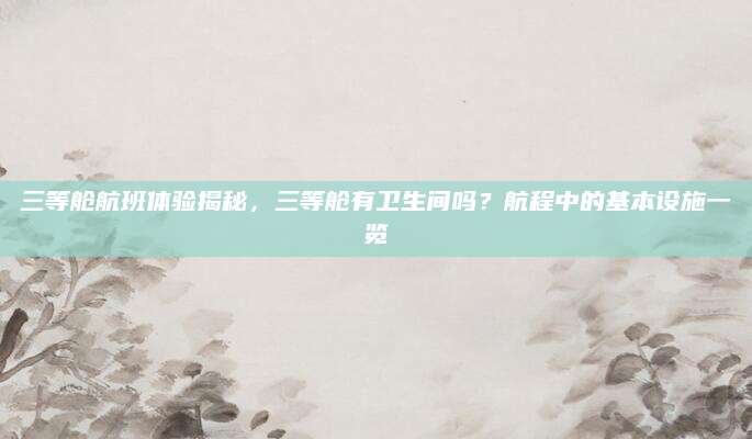 三等舱航班体验揭秘，三等舱有卫生间吗？航程中的基本设施一览