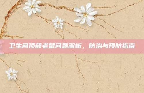 卫生间顶部老鼠问题解析，防治与预防指南