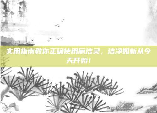 实用指南教你正确使用厕洁灵，洁净如新从今天开始！