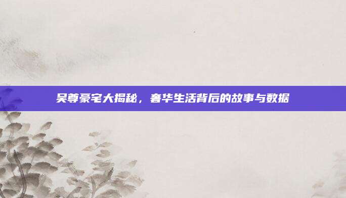 吴尊豪宅大揭秘，奢华生活背后的故事与数据