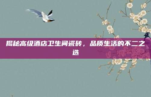 揭秘高级酒店卫生间瓷砖，品质生活的不二之选