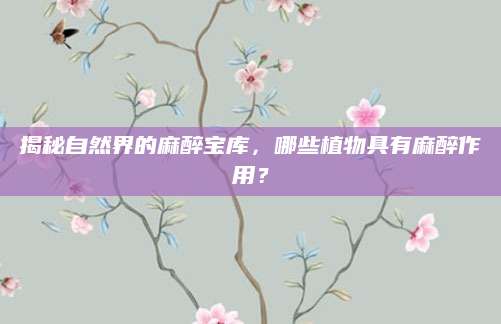 揭秘自然界的麻醉宝库，哪些植物具有麻醉作用？