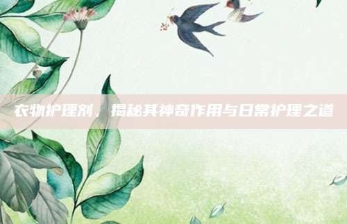 衣物护理剂，揭秘其神奇作用与日常护理之道