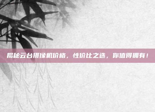 揭秘云台摄像机价格，性价比之选，你值得拥有！