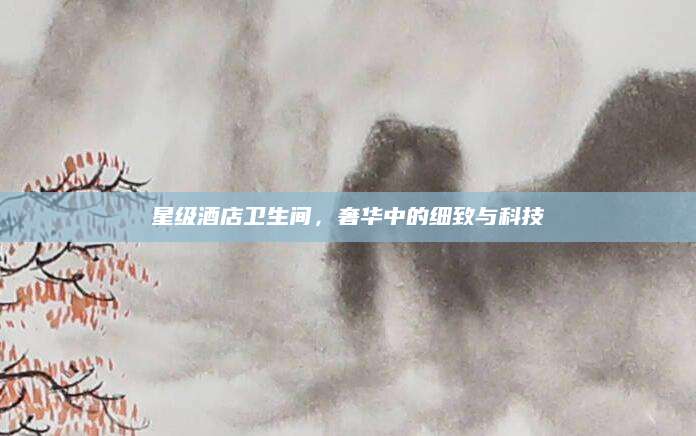 星级酒店卫生间，奢华中的细致与科技