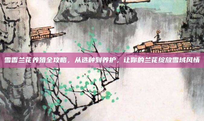 雪香兰花养殖全攻略，从选种到养护，让你的兰花绽放雪域风情