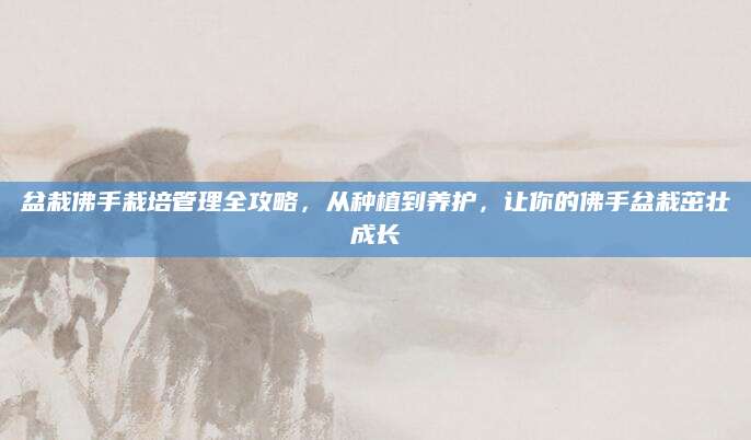 盆栽佛手栽培管理全攻略，从种植到养护，让你的佛手盆栽茁壮成长