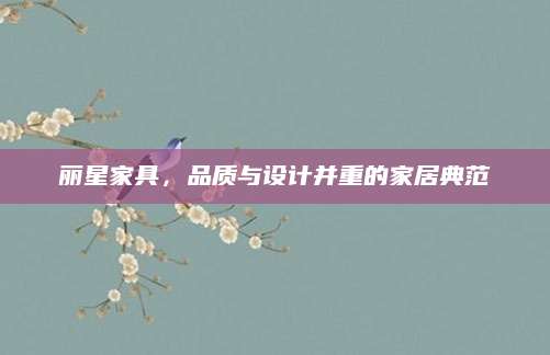 丽星家具，品质与设计并重的家居典范