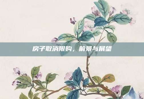 房子取消限购，前景与展望