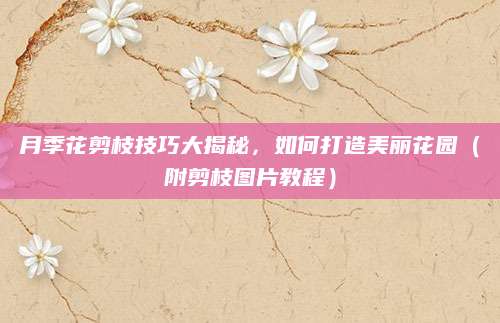 月季花剪枝技巧大揭秘，如何打造美丽花园（附剪枝图片教程）