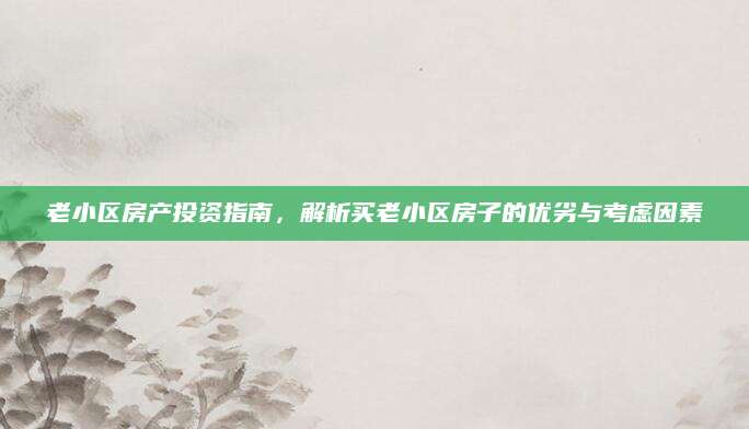 老小区房产投资指南，解析买老小区房子的优劣与考虑因素