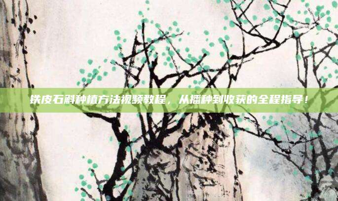 铁皮石斛种植方法视频教程，从播种到收获的全程指导！