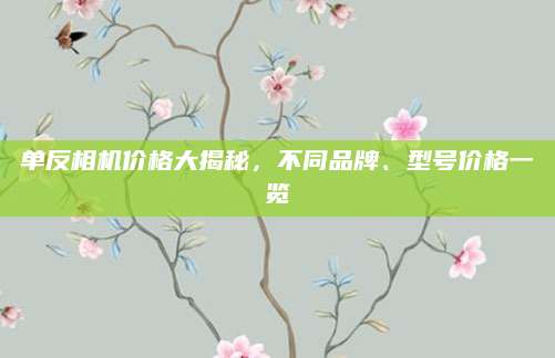 单反相机价格大揭秘，不同品牌、型号价格一览