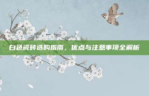 白色瓷砖选购指南，优点与注意事项全解析