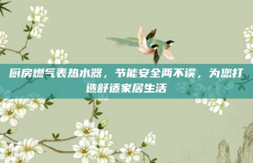 厨房燃气表热水器，节能安全两不误，为您打造舒适家居生活
