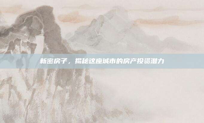 新密房子，揭秘这座城市的房产投资潜力