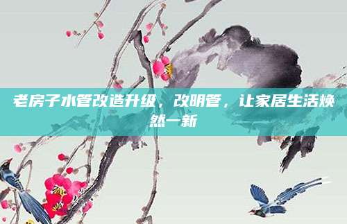 老房子水管改造升级，改明管，让家居生活焕然一新