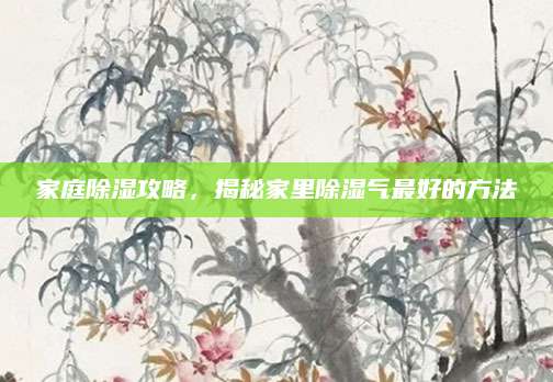 家庭除湿攻略，揭秘家里除湿气最好的方法
