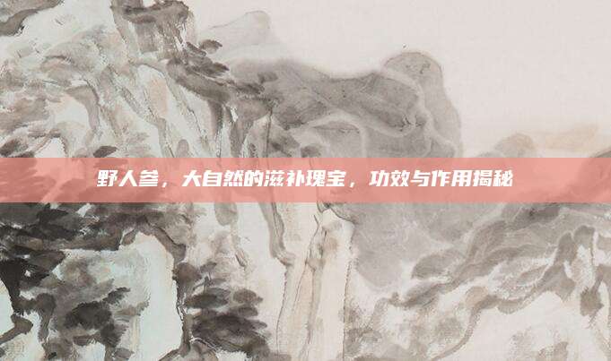野人参，大自然的滋补瑰宝，功效与作用揭秘
