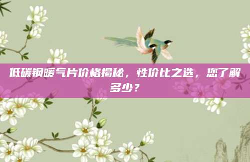 低碳钢暖气片价格揭秘，性价比之选，您了解多少？