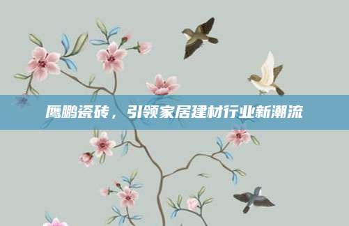 鹰鹏瓷砖，引领家居建材行业新潮流