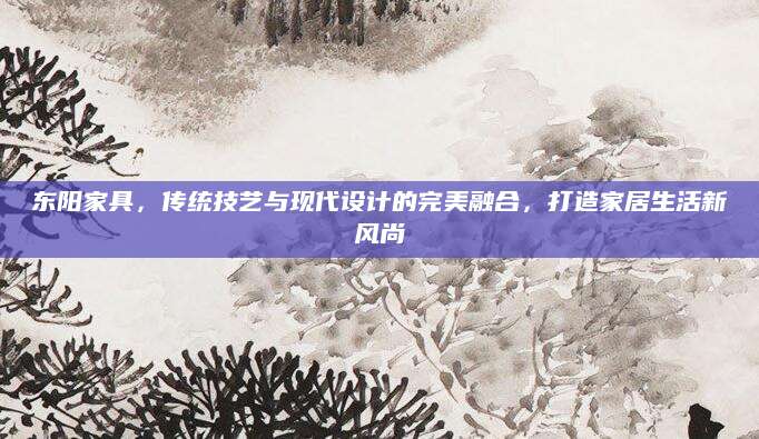 东阳家具，传统技艺与现代设计的完美融合，打造家居生活新风尚
