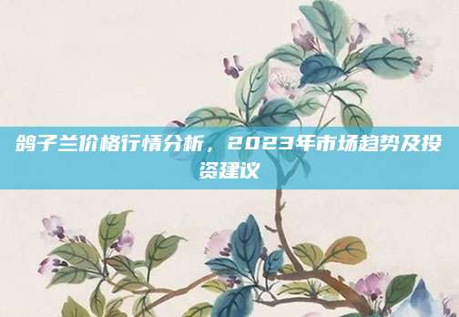 鸽子兰价格行情分析，2023年市场趋势及投资建议
