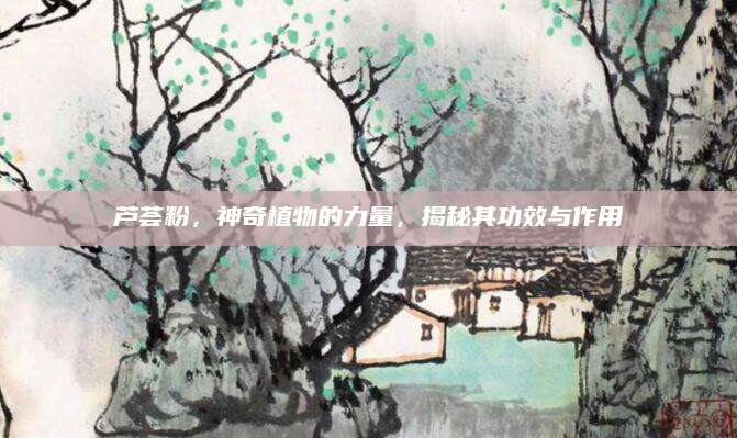 芦荟粉，神奇植物的力量，揭秘其功效与作用