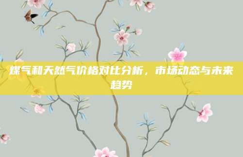 煤气和天然气价格对比分析，市场动态与未来趋势