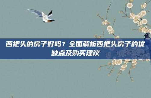 西把头的房子好吗？全面解析西把头房子的优缺点及购买建议