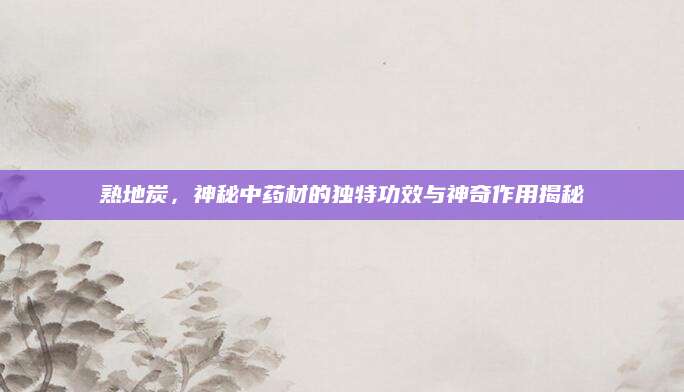 熟地炭，神秘中药材的独特功效与神奇作用揭秘