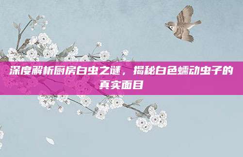 深度解析厨房白虫之谜，揭秘白色蠕动虫子的真实面目