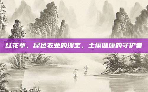 红花草，绿色农业的瑰宝，土壤健康的守护者