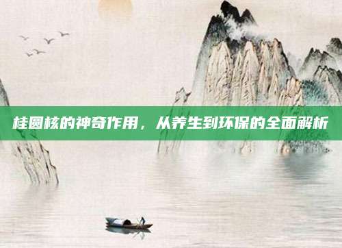 桂圆核的神奇作用，从养生到环保的全面解析